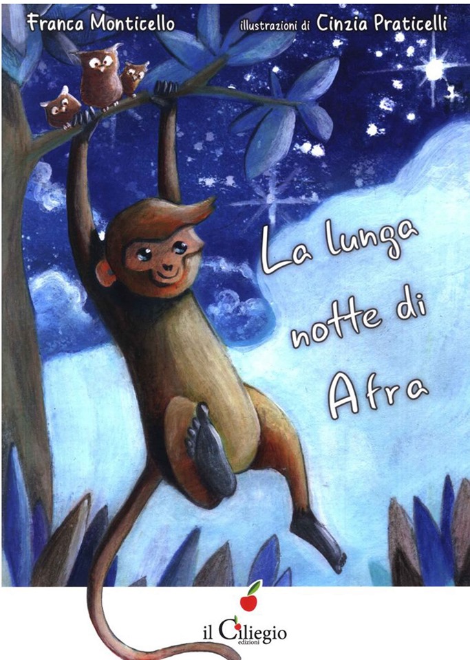 Copertina del libro La lunga notte di Afra scritto da Franca Monticello